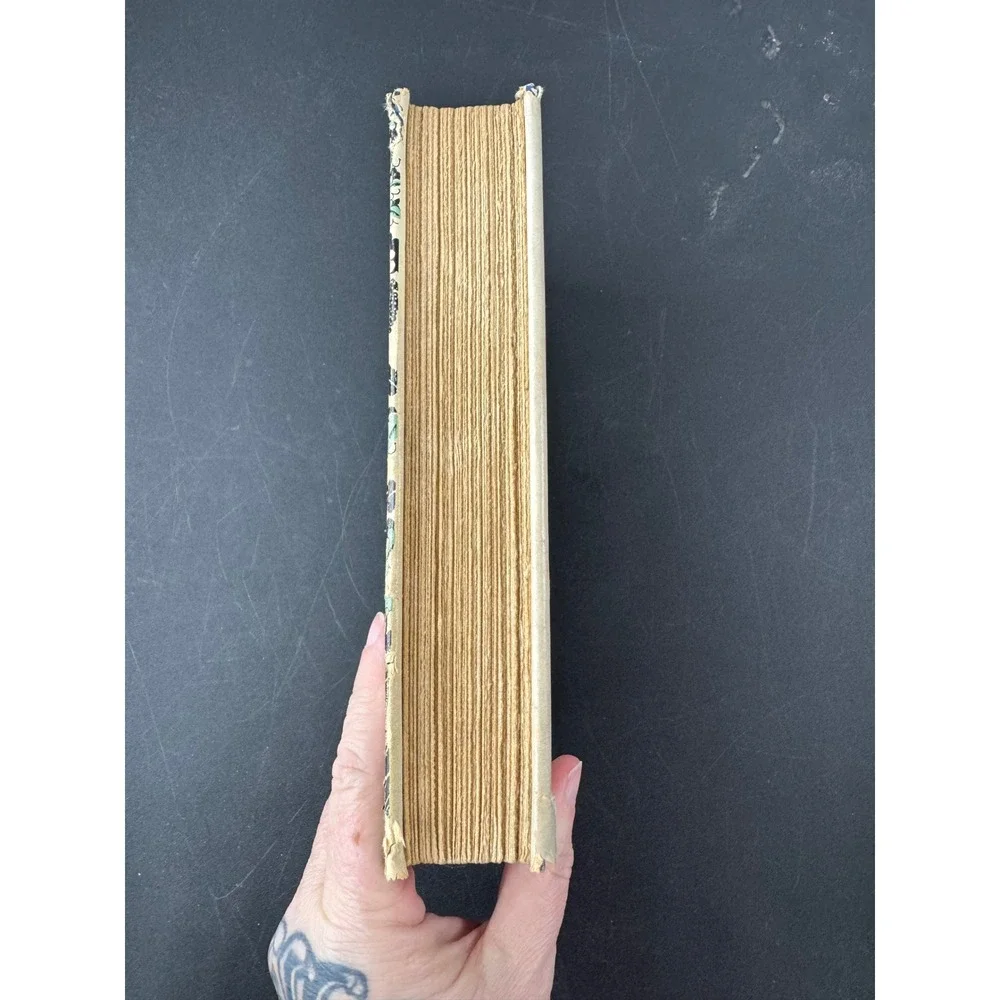 The Decameron Giovanni Boccaccio 1931 Blue Ribbon Steele Savage Illustrated‎